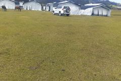22 unicef tents erected by IHS fund of 100,000 birr at kulech meda site